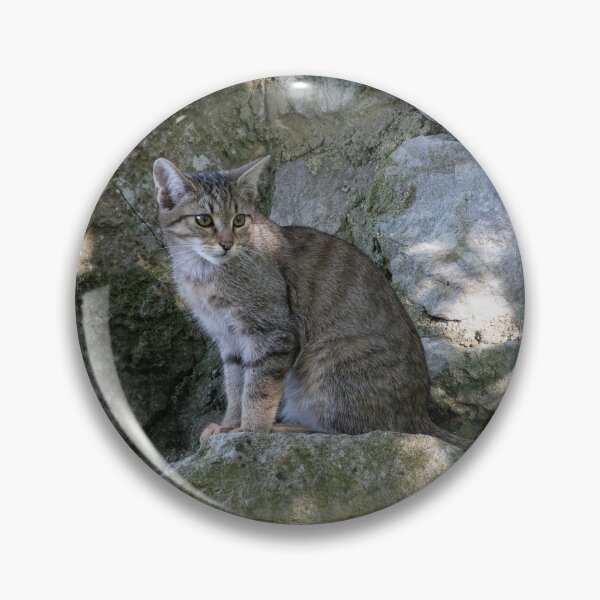 Item preview, European Wildcat designed and sold by Calidris Fotografie Steffi & Ben Köppler.
