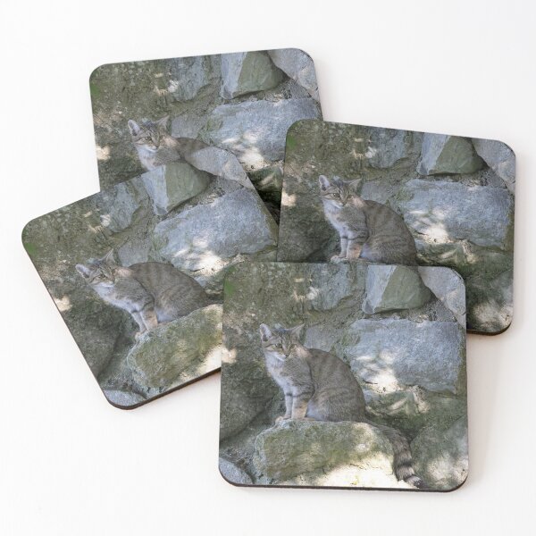 Item preview, European Wildcat designed and sold by Calidris Fotografie Steffi & Ben Köppler.