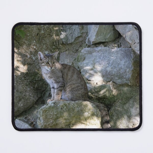 Item preview, European Wildcat designed and sold by Calidris Fotografie Steffi & Ben Köppler.