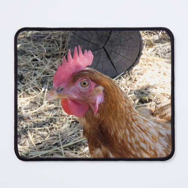 Item preview, Hey Chicky designed and sold by Kimmary.