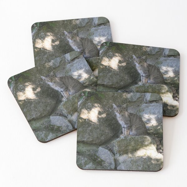 Item preview, European Wildcat designed and sold by Calidris Fotografie Steffi & Ben Köppler.