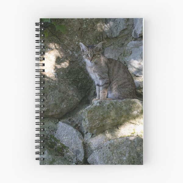 Artikelvorschau, Europäische Wildkatze entworfen und verkauft von Calidris Fotografie Steffi & Ben Köppler.