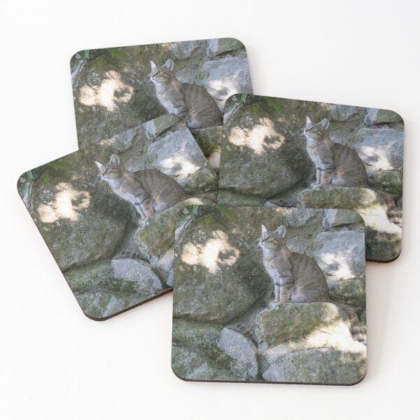 Item preview, European Wildcat designed and sold by Calidris Fotografie Steffi & Ben Köppler.