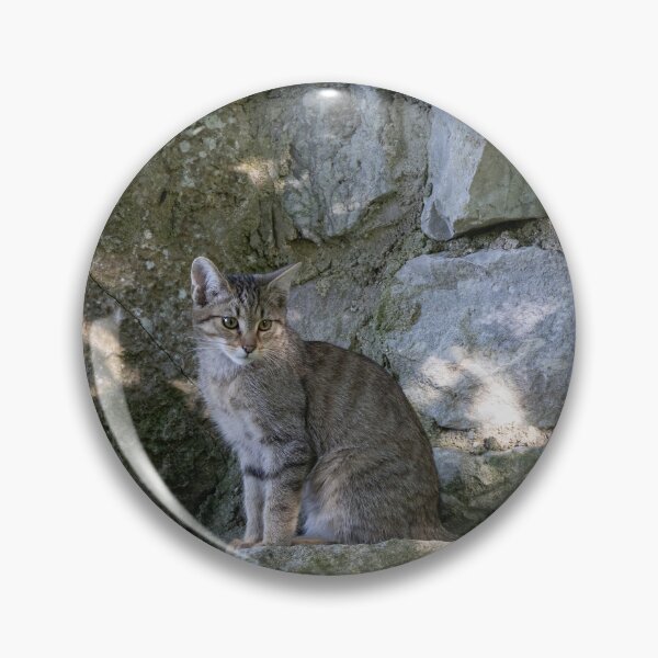 Item preview, European Wildcat designed and sold by Calidris Fotografie Steffi & Ben Köppler.