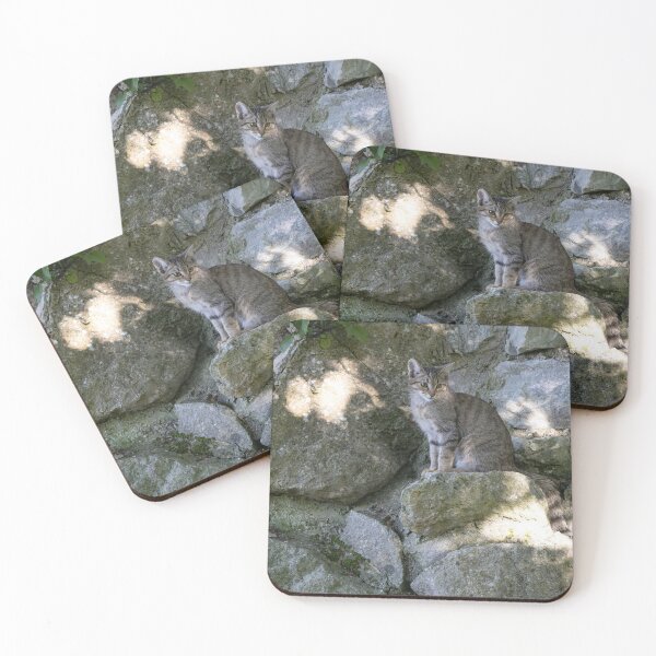 Item preview, European Wildcat designed and sold by Calidris Fotografie Steffi & Ben Köppler.