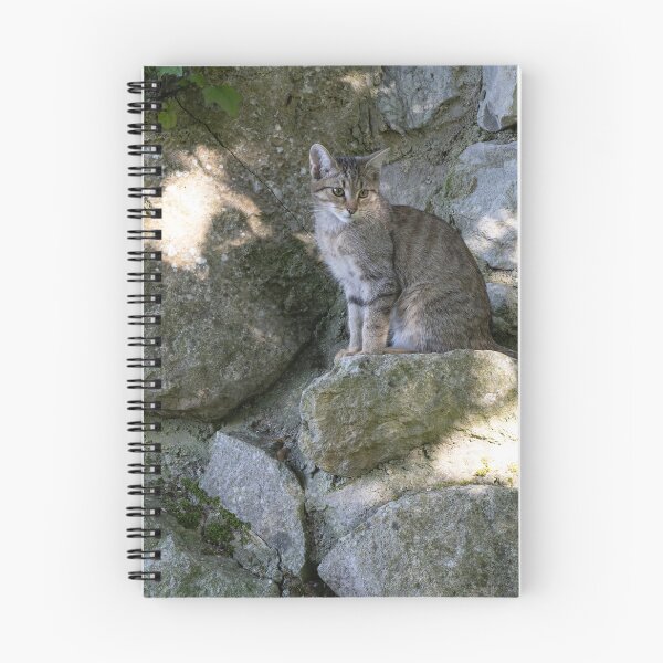 Artikelvorschau, Europäische Wildkatze entworfen und verkauft von Calidris Fotografie Steffi & Ben Köppler.