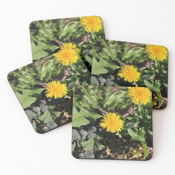 Item preview, Dandelion flowers designed and sold by McFleur's Lens.