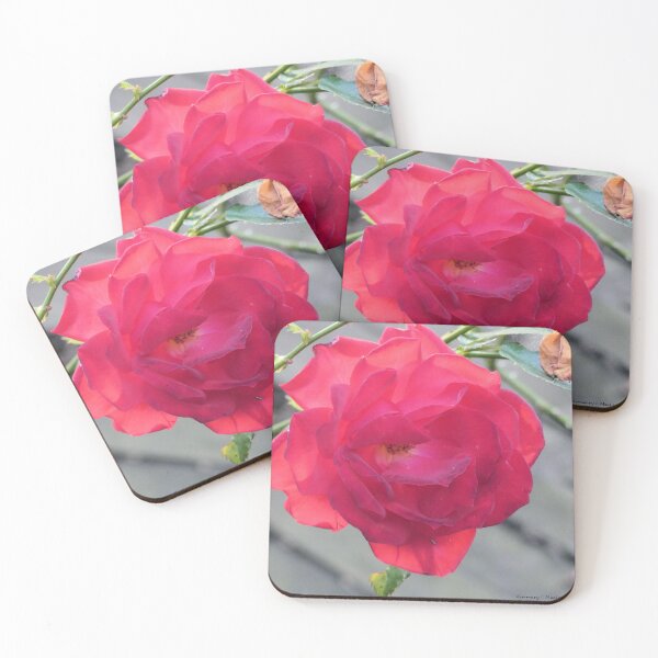 Item preview, Rose in the Fall designed and sold by Kimmary.