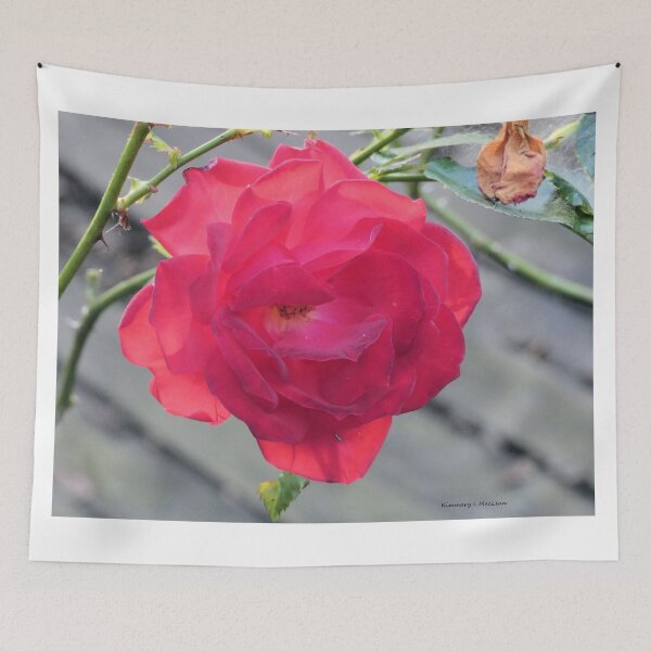 Item preview, Rose in the Fall designed and sold by Kimmary.
