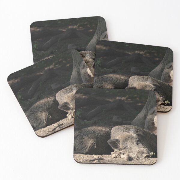 Item preview, Wild Pig designed and sold by Calidris Fotografie Steffi & Ben Köppler.