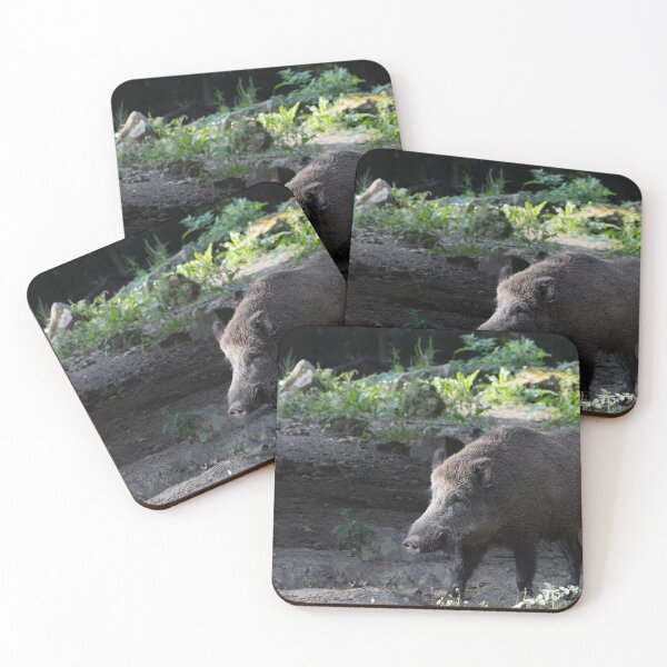 Item preview, Wild Pig designed and sold by Calidris Fotografie Steffi & Ben Köppler.