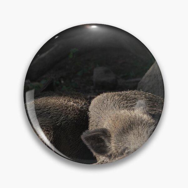Item preview, Wild Pig designed and sold by Calidris Fotografie Steffi & Ben Köppler.