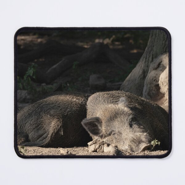 Item preview, Wild Pig designed and sold by Calidris Fotografie Steffi & Ben Köppler.
