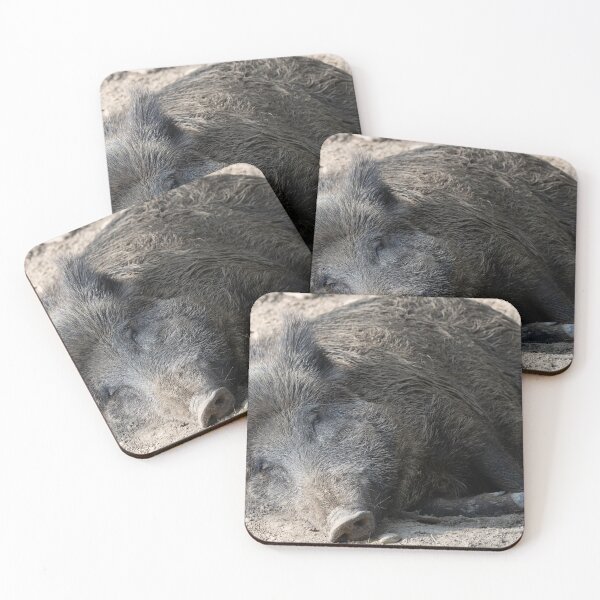Item preview, Wild Pig designed and sold by Calidris Fotografie Steffi & Ben Köppler.