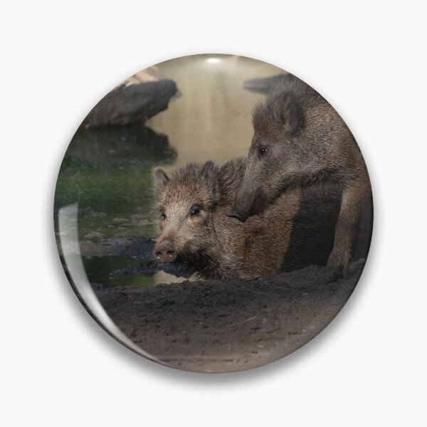 Item preview, Wild Pig designed and sold by Calidris Fotografie Steffi & Ben Köppler.