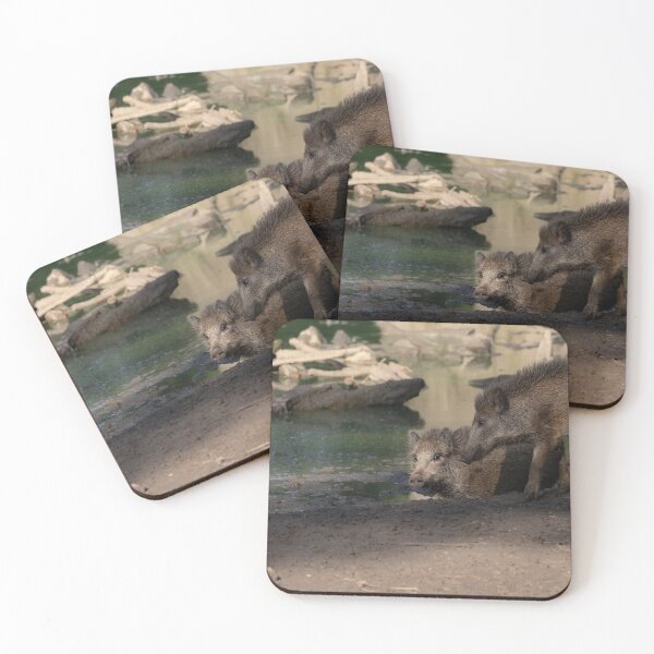 Item preview, Wild Pig designed and sold by Calidris Fotografie Steffi & Ben Köppler.