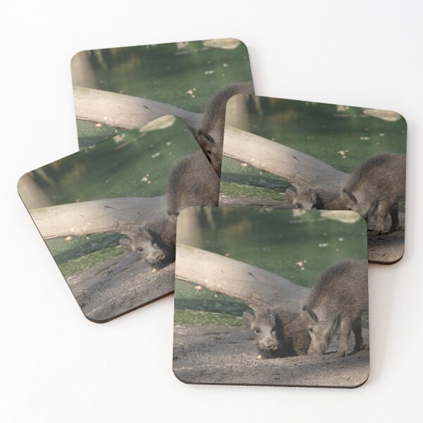 Item preview, Wild Pig designed and sold by Calidris Fotografie Steffi & Ben Köppler.