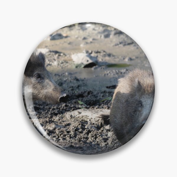Item preview, Wild Pig designed and sold by Calidris Fotografie Steffi & Ben Köppler.