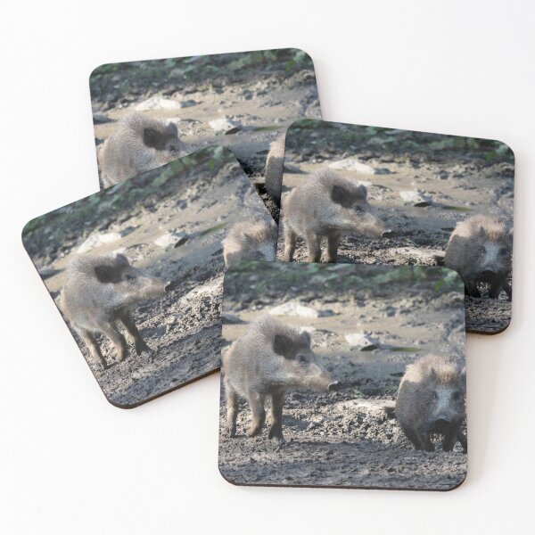 Item preview, Wild Pig designed and sold by Calidris Fotografie Steffi & Ben Köppler.