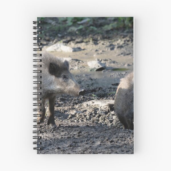 Item preview, Wild Pig designed and sold by Calidris Fotografie Steffi & Ben Köppler.