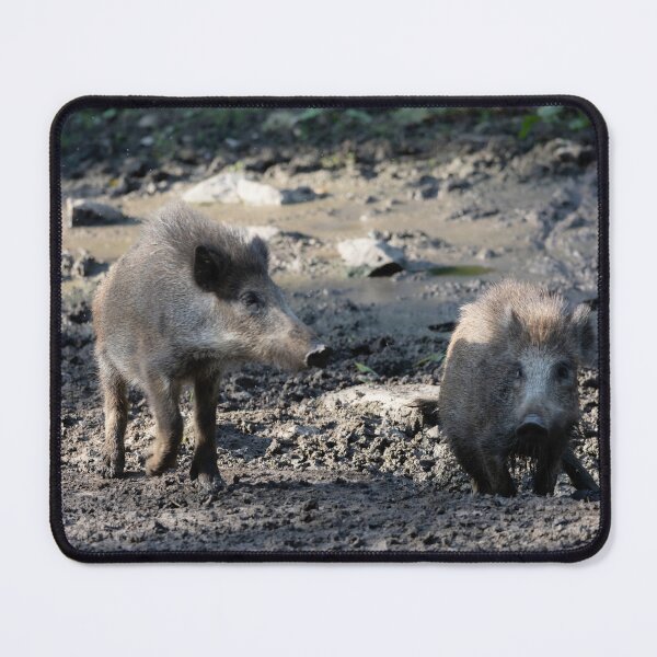 Item preview, Wild Pig designed and sold by Calidris Fotografie Steffi & Ben Köppler.