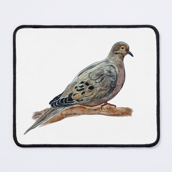Item preview, Mourning Dove Painting designed and sold by Kamden Ekern.