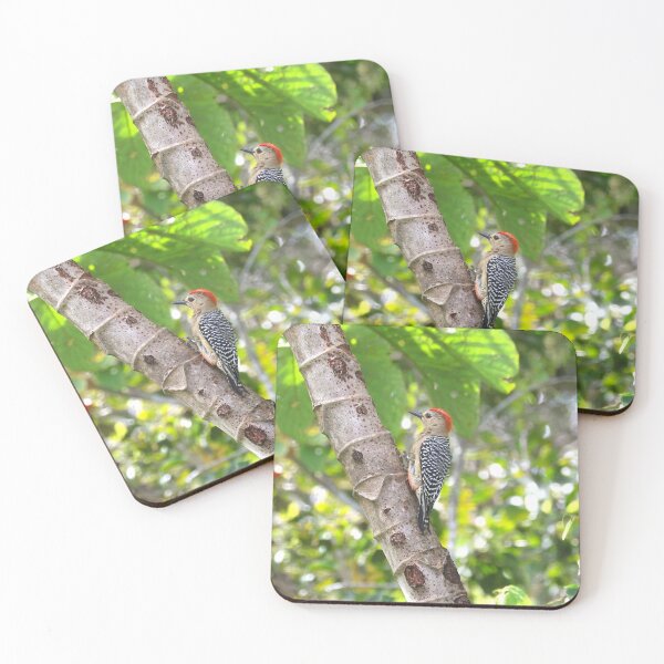 Item preview, Red Crowned Woodpecker Panama Alvaro Miranda Bird Photography designed and sold by Alvaro-Miranda.