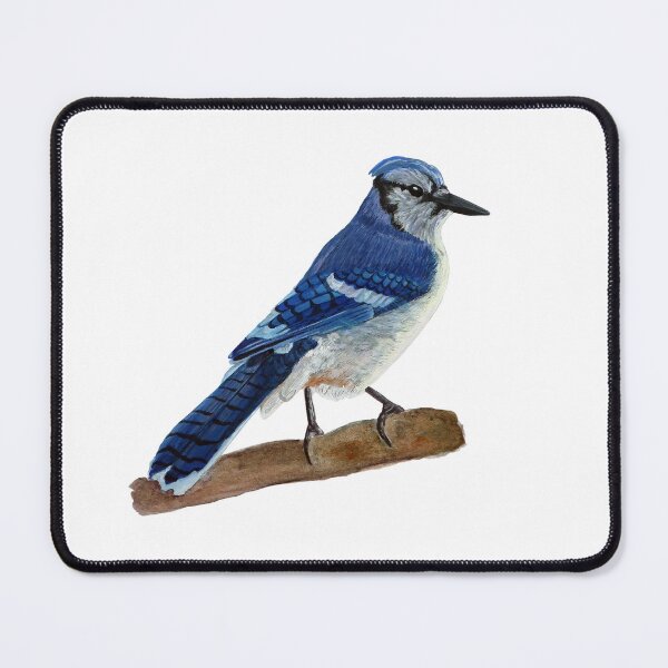 Item preview, Blue Jay Painting designed and sold by Kamden Ekern.