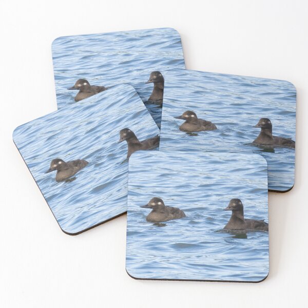Item preview, Velvet Scoter designed and sold by LaurenTucker.