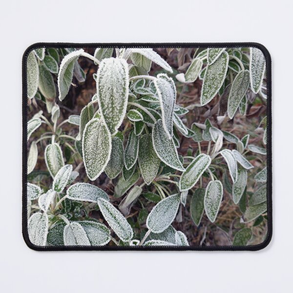 Item preview, Frosty sage designed and sold by paulboizot.