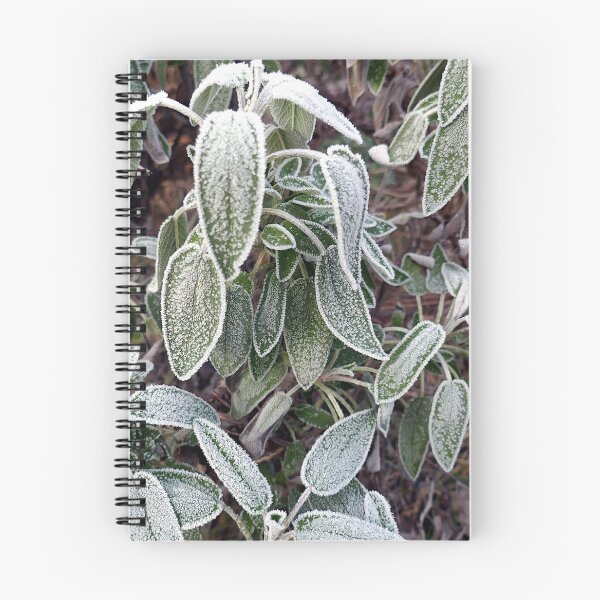 Item preview, Frosty sage designed and sold by paulboizot.