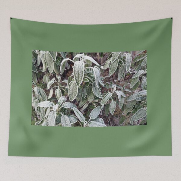 Item preview, Frosty sage designed and sold by paulboizot.