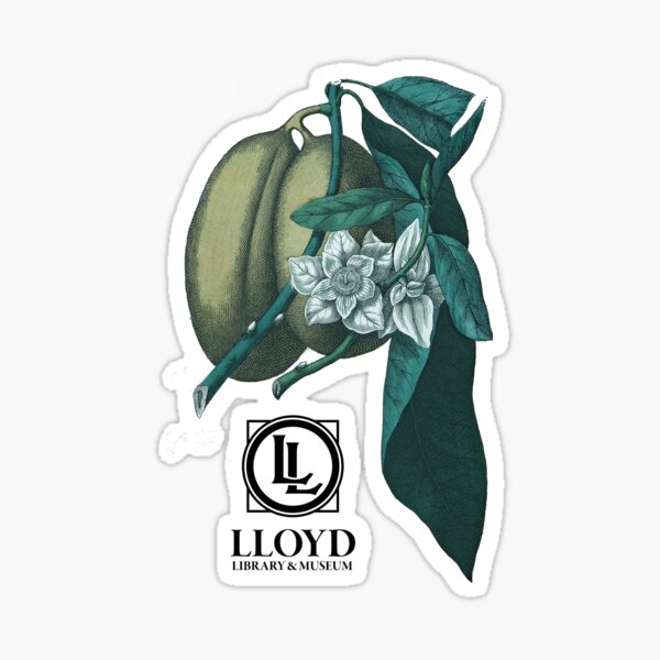 Pawpaw large Sticker