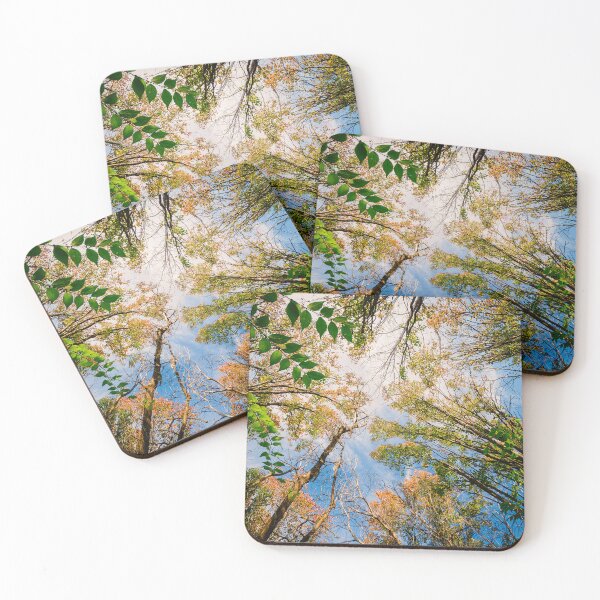 Item preview, Up to the top designed and sold by Joel Bader.
