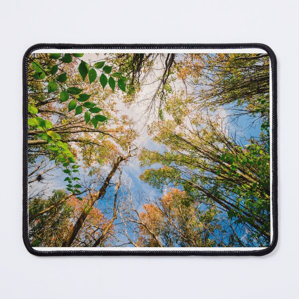 Item preview, Up to the top designed and sold by Joel Bader.