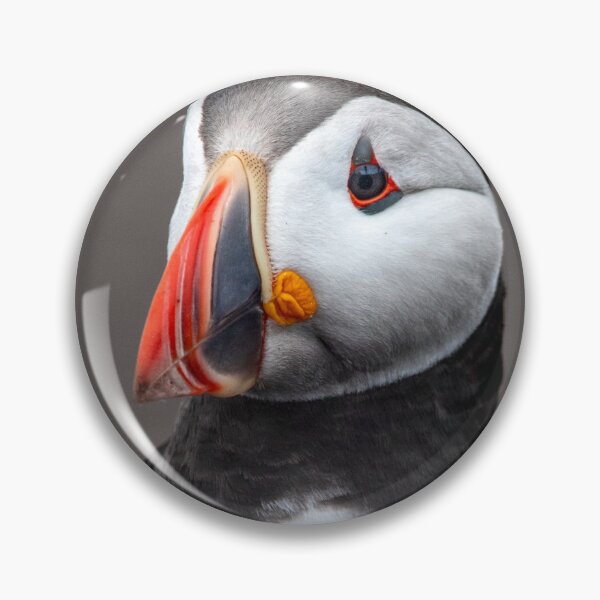 Item preview, Puffin Perfection designed and sold by Julie Wilkinson.