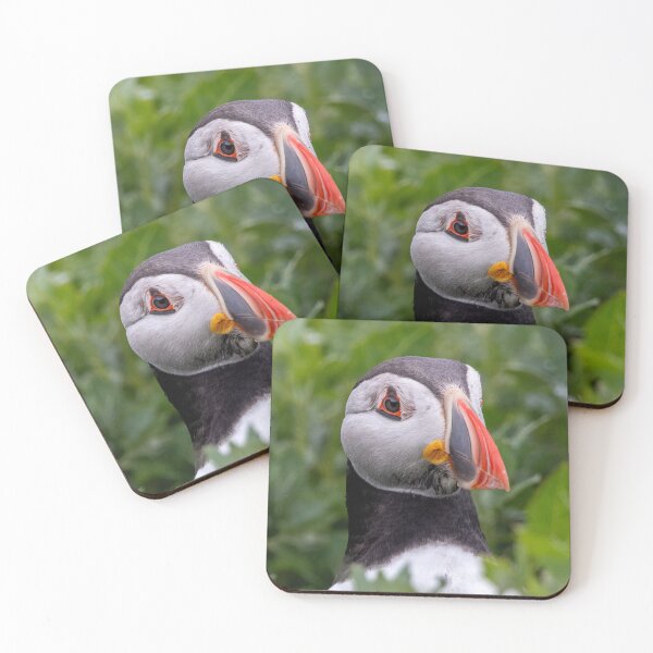 Item preview,  Peek-a-Puffin! designed and sold by Julie Wilkinson.