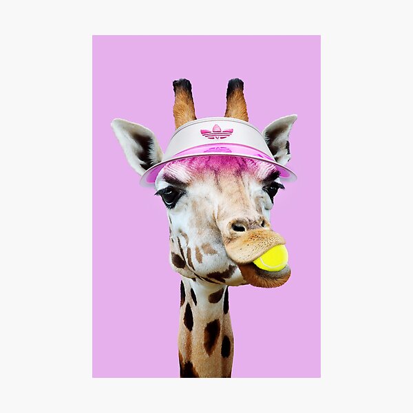 TENNIS GIRAFFE Photographic Print