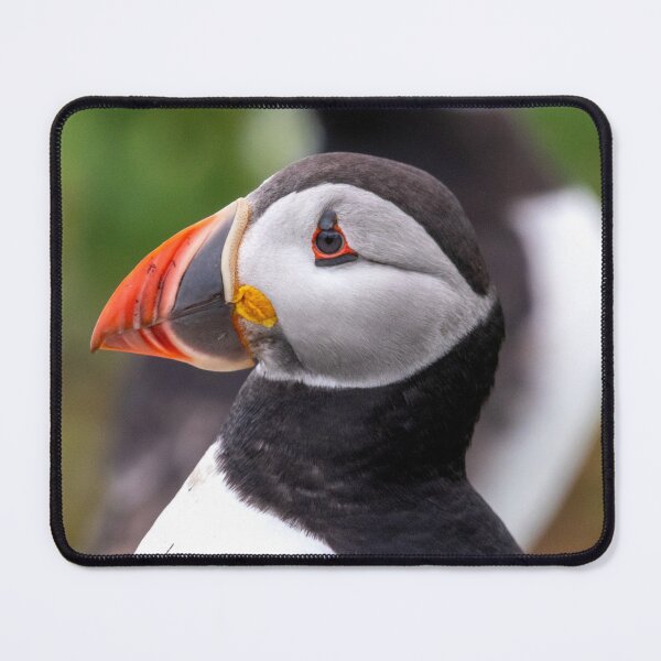 Item preview, Mirror Image designed and sold by Julie Wilkinson.