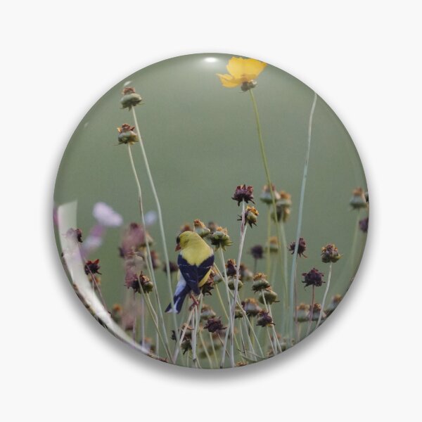 Item preview, american goldfinch in prairie designed and sold by distracted.