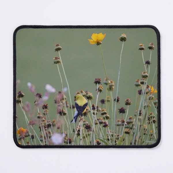 Item preview, american goldfinch in prairie designed and sold by distracted.