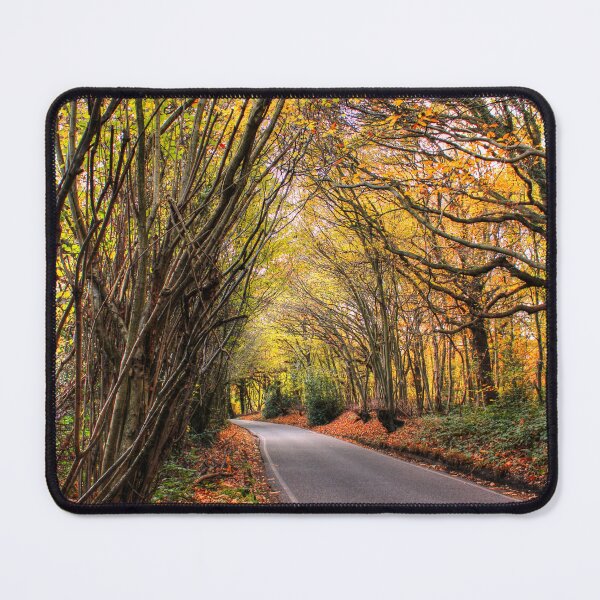 Item preview, Canopy of Trees designed and sold by Vicki Spindler (VHS Photography).