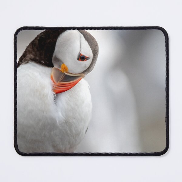 Item preview, Preening Puffin designed and sold by Julie Wilkinson.