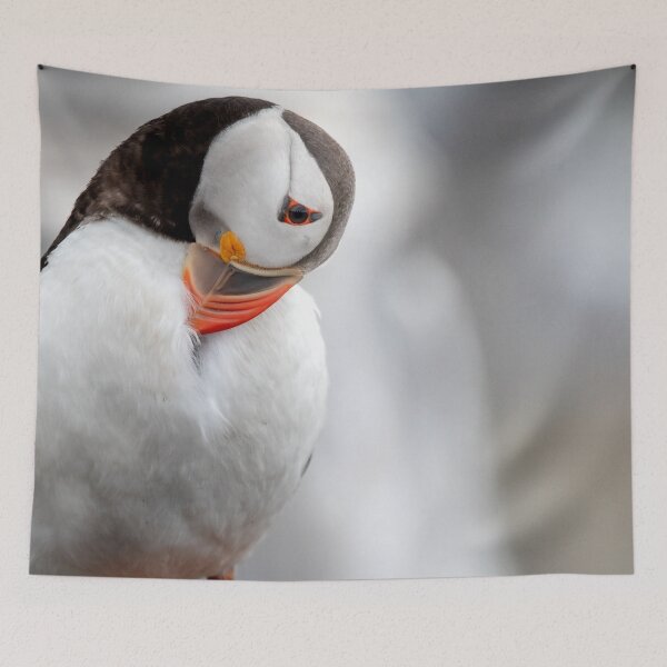 Item preview, Preening Puffin designed and sold by Julie Wilkinson.