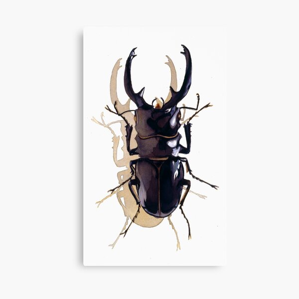 "Odontolabis d. subita" Stag Beetle Watercolor Canvas Print