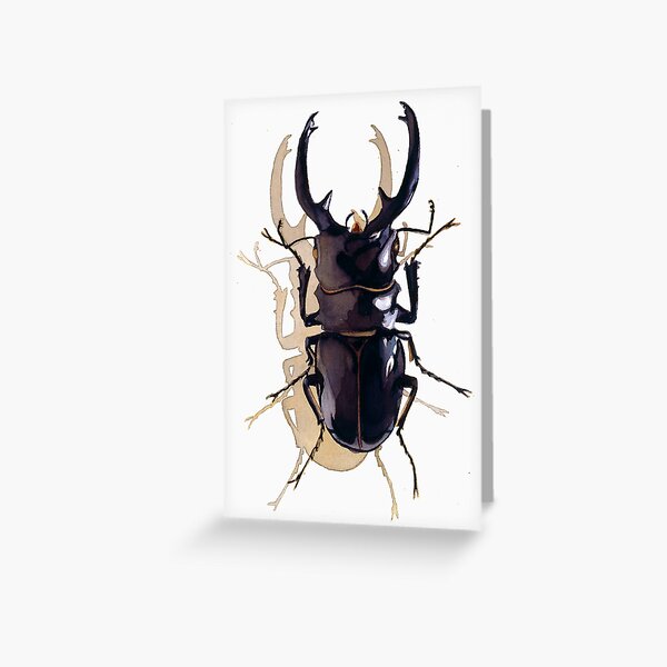 "Odontolabis d. subita" Stag Beetle Watercolor Greeting Card
