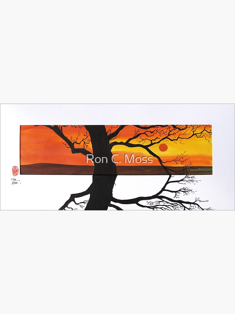 Sunset Shadows by ronmoss