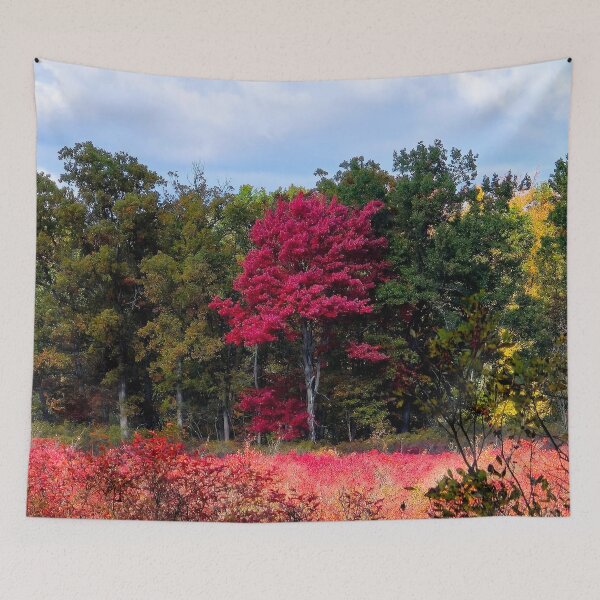 Item preview, Lone Red designed and sold by bjtomiko.