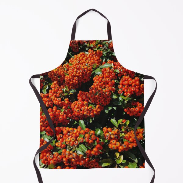 Aperçu de l'œuvre Baies rouges de Buisson ardent écarlate, feuilles vertes II. créée et vendue par Gaboro.