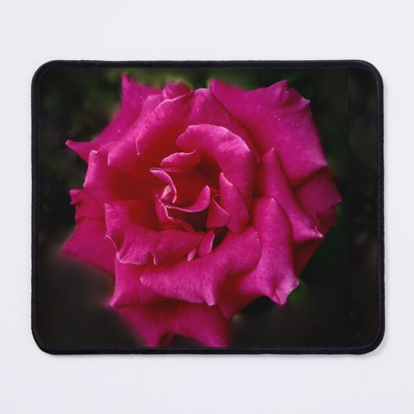 Item preview, Pink Rose Photo designed and sold by Shelly  Moore.